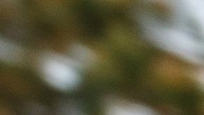 Manifestante herido por un proyectil de la Policía en Minneapolis.