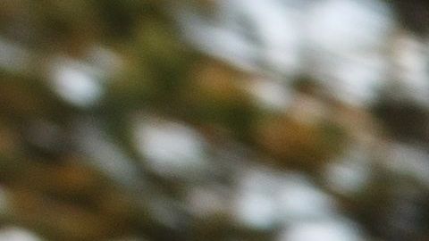 Manifestante herido por un proyectil de la Policía en Minneapolis.