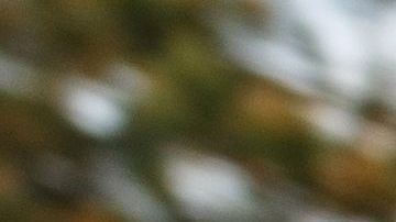 Manifestante herido por un proyectil de la Policía en Minneapolis.