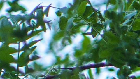 La muerte de Floyd ha originado protestas a nivel nacional.