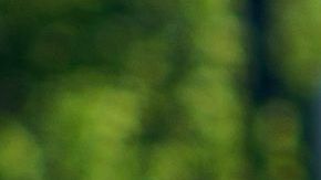 Aunque entre manifestantes hay gente usando máscaras, también hay miles que no.