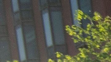 El presidente Trump amagó con desplegar Fuerzas Armadas.