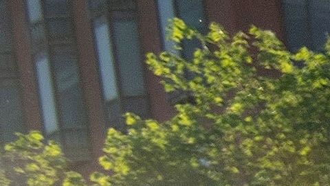 El presidente Trump amagó con desplegar Fuerzas Armadas.