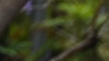 Protesta por GEorge Floyd en Los Ángeles