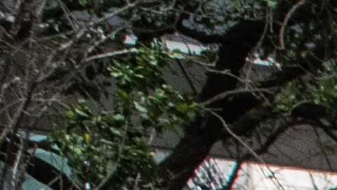 Familiares de Floyd hablaron con la prensa durante una marcha en Houston.