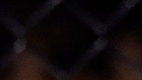 Cody Garbrandt y Raphael Assuncao