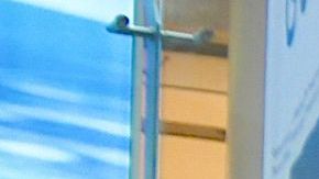 Centro comercial coronavirus ventas shoppings Macy's Covid-19 J.C. Penney tiendas