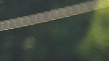 Una joven afroestadounidense propició el cambio.