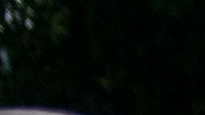 Policía Estatal protege la estatua derribada de Colón.