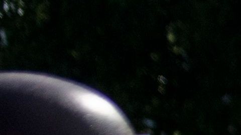 Policía Estatal protege la estatua derribada de Colón.