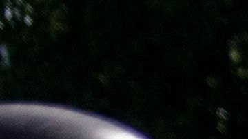 Policía Estatal protege la estatua derribada de Colón en Minnesota