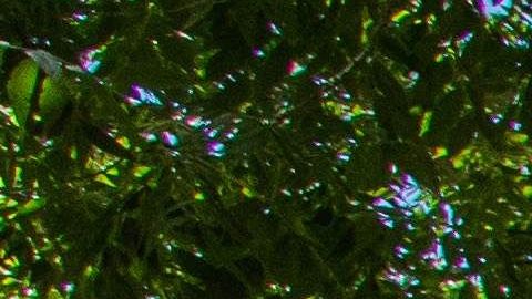 Muerte de Robert Fuller en Palmdale