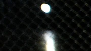 Tyson Nam venció a su rival de forma espectacular en 32 segundos.