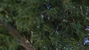 Alguaciles bloquean una protesta por la muerte de Robert Fuller en Palmdale.