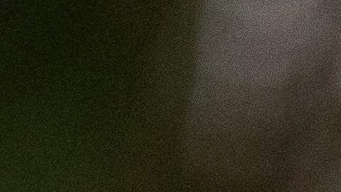 Hubo manifestaciones frente al árbol donde encontraron ahorcado a Robert Fuller.