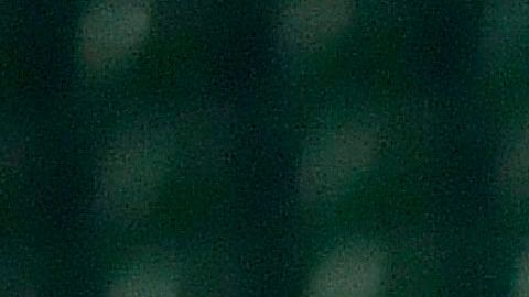 El Bayern Munich debió festejar su título de la Bundesliga de visitante y sin público.