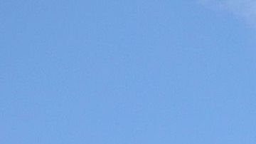 ayuda económica coronavirus cheque IRS dinero EIP cheques de estímulo pagos hogares herramienta encuesta Newamerica veteranos Seguro Social dependientes