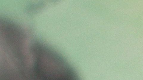 ayuda económica cheque Coronavirus COVID-19 Dinero errores estímulo Get My Payment herramienta internet IRS pago rastreo sitio web