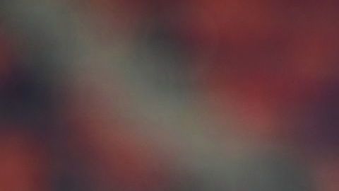 Cristiano Ronaldo lamentándose tras una falla ante el Bolonia.