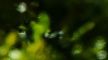 Gente esperando a hacerse las pruebas del coronavirus en un centro de Miami Beach.