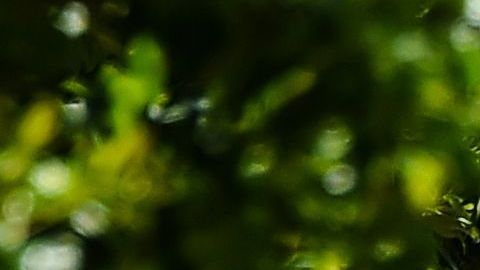 Gente esperando a hacerse las pruebas del coronavirus en un centro de Miami Beach.