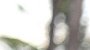 Se han extremado las precauciones en Miami, donde se están dando más casos.