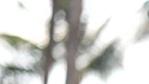 Se han extremado las precauciones en Miami, donde se están dando más casos.