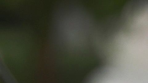 Desempleo Estados Unidos Seguro de desempleo estímulo Abril economía crisis coronavirus COVID-19 Recesión