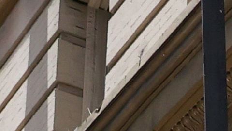 programas de trabajo compartido beneficios de seguro de desempleo cheque apoyo económico