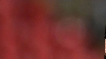 Lionel Messi volvió a la actividad con el Barcelona.