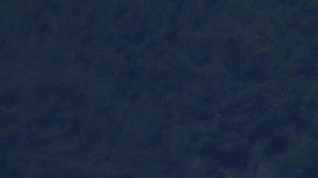 832 reclusos de la prisión estatal han dado positivo de COVID-19.