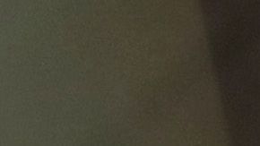 Elecciones primarias en NY