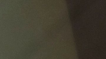 Elecciones primarias en NY