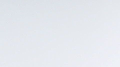 Amazon coronavirus COVID-19 trabajadores bono dinero primera linea Minnesota Alemania