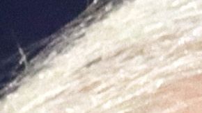 Biden critica a Trump en un momento de baja aprobación para el presidente.