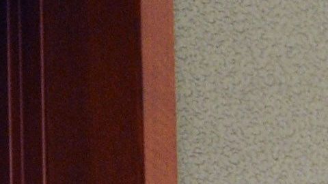 Floyd Mayweather cumplió dos meses de condena.