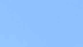 Costo carne pollo harina alimentos congelados escasez coronavirus supermercados comestibles