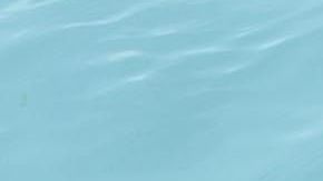 Los responsables del Miami Seaquarium creen que es la mejor decisión ante el aumento de casos.