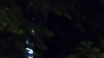 El gobierno quiere incentivar el turismo.