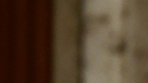 El Papa Francisco envió un mensaje de esperanza para Alex Zanardi.