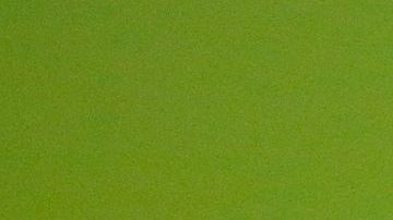 Bacarri Rambo fue detenido el lunes sin derecho a fianza.