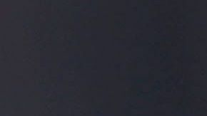 Cachorro de oso Grizzly