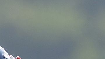 Reche Caldwell entrenando con los New England Patriots en 2007.