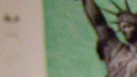 Aunque el calendario de envío de cheques es hasta septiembre, hay personas que pueden solicitarlo en octubre.