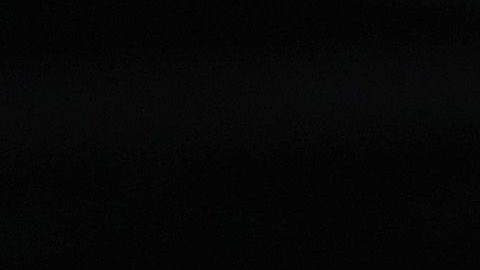 J.R. Smith se salió de control y golpeó a otra persona.