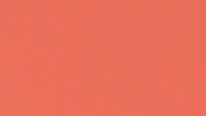 Blac Chyna posa junto a la sexy modelo Amber Rose.