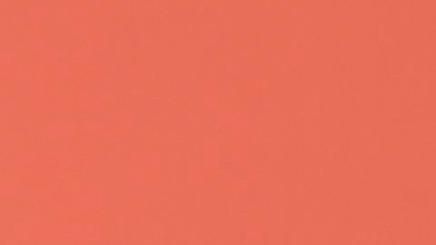 Blac Chyna posa junto a la sexy modelo Amber Rose.