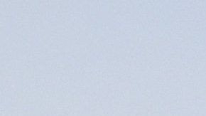 Los Twins de Minnesota dieron un paso simbólico en contra del racismo.