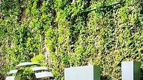 Héctor Sandarti en Televisa