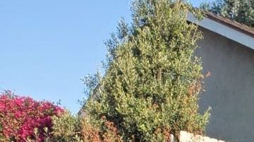 Julio Peralta con su hija Olga Margarita Peralta. (Cortesía Orbach News)